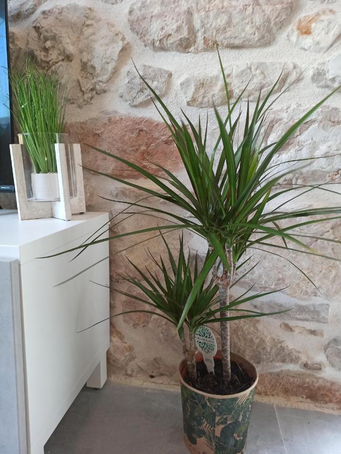 Grannyanny Appartement Šibenik Buitenkant foto